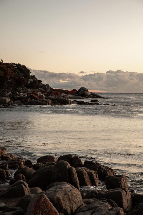Driftwood Rest Binalong Bay Sleeps 4 빌라 외부 사진