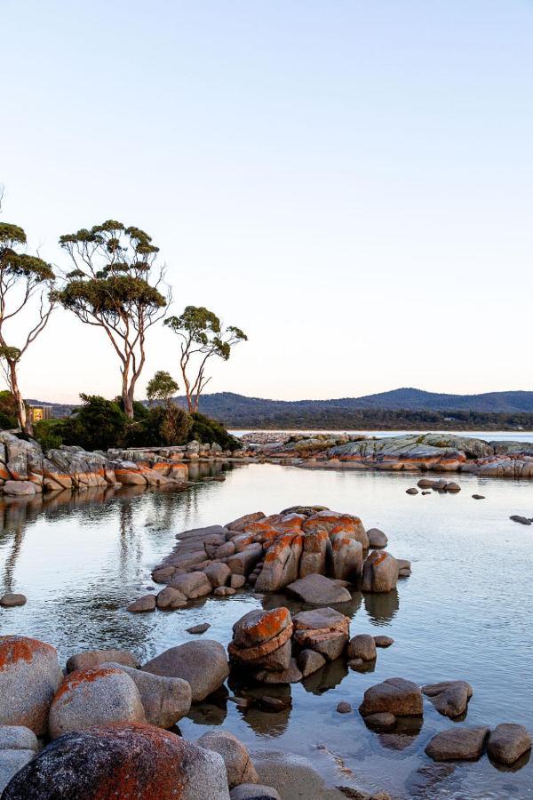 Driftwood Rest Binalong Bay Sleeps 4 빌라 외부 사진